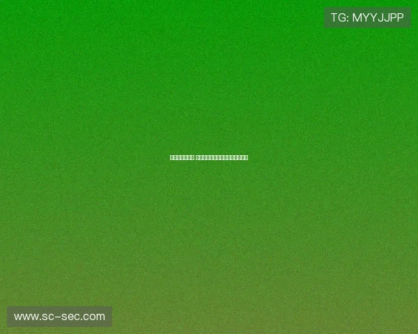 新赛季开启在即 这面盾牌象征着全新的挑战与期待 新赛季开启在即 这面盾牌象征着全新的挑战与期待