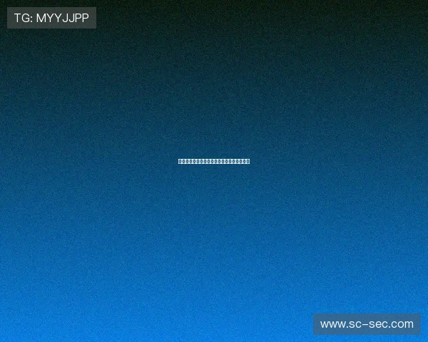 德甲决赛轮关键对决各队争冠保级生死战上演