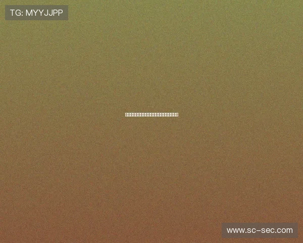 德甲联赛防守反击战术解析与球队执行模式探讨